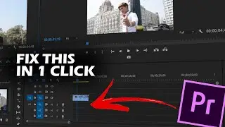 Adobe Premiere Pro - Audio Track Doesn’t Show Up In The Timeline? Problem Solved ( for beginners )