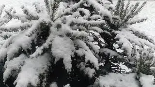Snow in London
