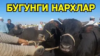 БУКАЛАРНИ ЗУРЛАРИ ЧИКДИ КАРШИ КАРВОН МОЛ БОЗОРИДА