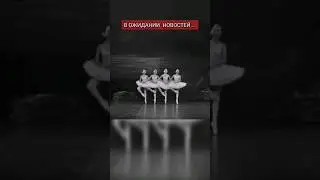 Ждём новостей... #ночь #бессонница #балет #лебединоеозеро #мэшап #ремикс #прикол #мем #новости
