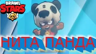 Купил на Ниту скин Нита Панда BRAWL STARS