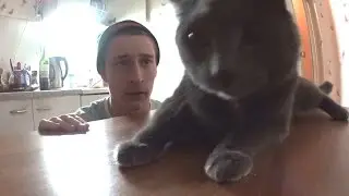 Приветствую!