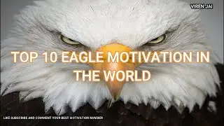 TOP 10 EAGLE MOTIVATION IN THE WORLD on YOU TUBE by VIREN JAI