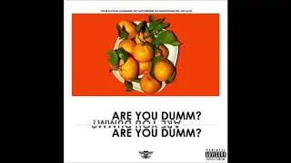 FLMMBOiiNT FRDii - ARE YOU DUMM¿ (Produced by Paper Platoon)