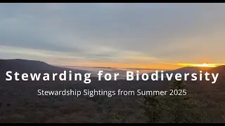 Stewarding for Biodiversity