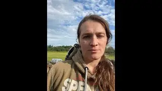 Волки