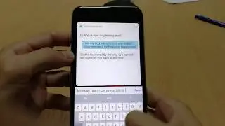 Chatbot in iOS app