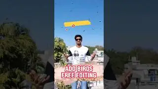 How To Add Flying Birds in Video | VN Video Editing 