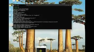 Install SQL Server 2025 on Linux (RHEL 10 and Ubuntu 24) (online install)