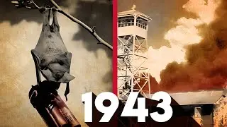 Why the USA developed a Bat Bomb in WW2