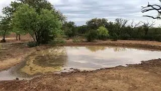 Finally the rains came August 22 2022…..