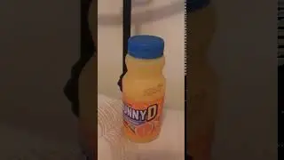 S u n n y  D e l i g h t