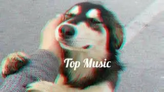 HOMIE - Одинокий Пёс ( Премьера )