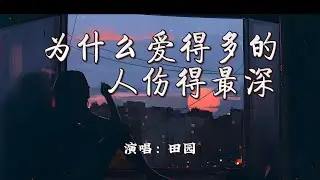 田园 - 为什么爱得多的人伤得最深『为什么爱得多的人伤的最深，凭什么爱得少的人轻易抽身。』【4K | 动态歌词MV】