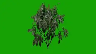 GREEN SCREEN GRASS PACK HD