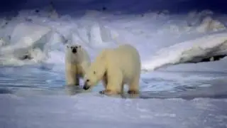 Svalbard - Arctic Norway