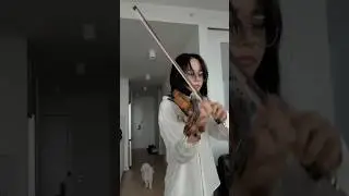 My dog loves this song I guess