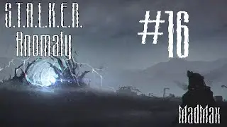 STALKER: Anomaly. Часть 16 - Проводник Бродяга