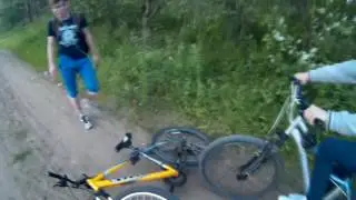 ЛЕС. Падение. Ночь. Лягушка. ДХ. Брат