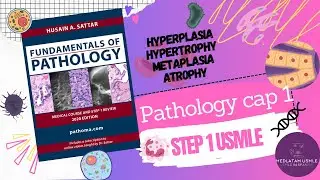 Pathoma Growth adaptations Chapert 1 part 1 (Hyperplasia, hypertrophy, metaplasia...)