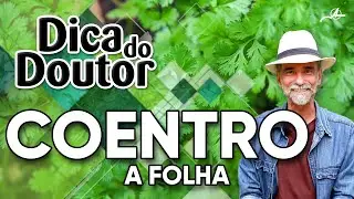 Dica do Doutor 