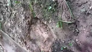 Чищю ПАМП ТРЕК и УЧЕБНЫЙ стол для трюков!