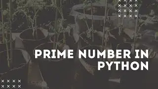 prime program in python