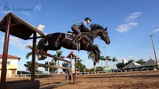 INSTITUCIONAL HARAS TW
