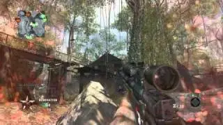 Jungle Shizz