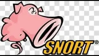 Snort - Network Intrusion Detection & Prevention System