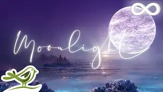 Moonlight: Ethereal Ambient Music for Deep Sleep by Peder B. Helland with Nature Slideshow
