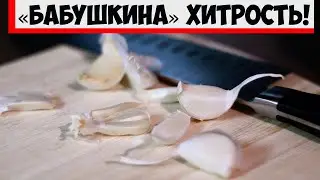 Как почистить чеснок, даже не прикасаясь к нему: хозяйкам на заметку!