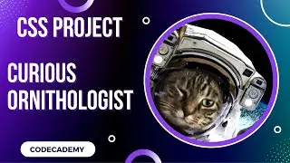 Curious Ornithologist CSS Variables and Functions Project | Day 34 Codecademy CSS Intermediate
