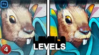 Enhance your Picture with Levels | One Click Solution | Photoshop Masterclass