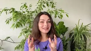 5: Choosing The Right Pots | Houseplant Guide for Beginners | PLANT CRASH COURSE