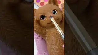 SQUISHY ASMR 😺😺Cat 