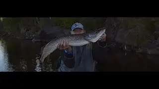 A nice Northern on Matagamasi Lake