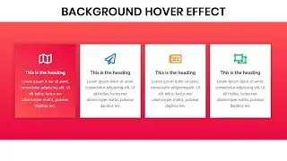 Background hover animation effect in elementor