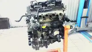 19 января 2021 г.