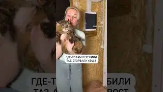 Подробности в комментах👇 