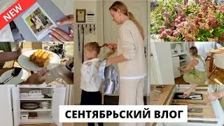 🗓️ ШКОЛЬНОЕ УТРО| дела по дому, быстрый обед, прогулка по саду 🪴