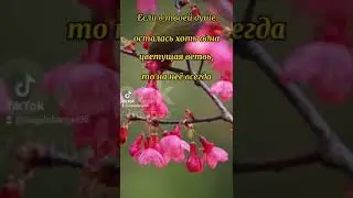 Душа