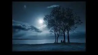 Wonderful Baby - Don Mclean (arr. Tommy Emmanuel)