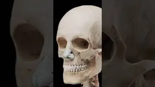 слово пацана