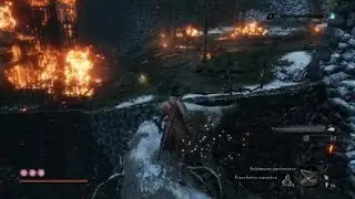 Sekiro: Shadows Die Twice Midboss can fly