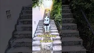 call me lara croft 🛕 @bettywho #gnarlsbarkley #mashup
