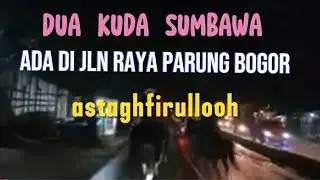 DUA KUDA SANDEL MENYELUSURI JLN RAYA PARUNG BOGOR DI MAKAM HARI