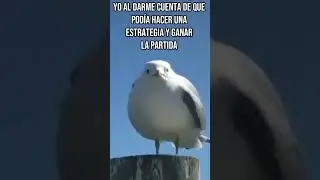 Me arrepiento tanto 😞 #humor #amongus #meme #viral