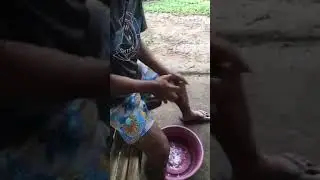 Dinilawang Haluan Sa Gata
