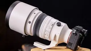 SIGMA 200mm F2 review – impressive image quality and dream bokeh!